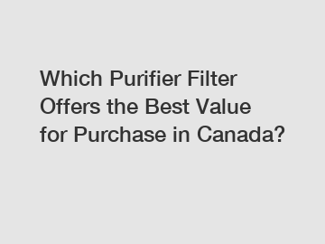 Which Purifier Filter Offers the Best Value for Purchase in Canada?