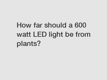 How far should a 600 watt LED light be from plants?