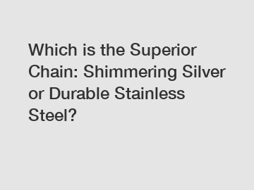 Which is the Superior Chain: Shimmering Silver or Durable Stainless Steel?