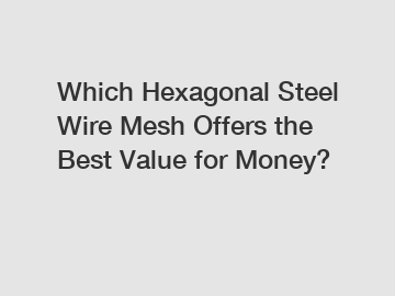 Which Hexagonal Steel Wire Mesh Offers the Best Value for Money?