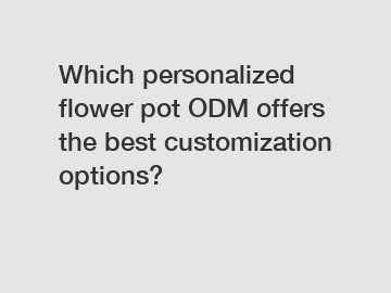 Which personalized flower pot ODM offers the best customization options?
