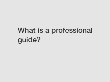 What is a professional guide?