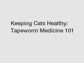 Keeping Cats Healthy: Tapeworm Medicine 101