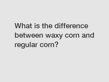 What is the difference between waxy corn and regular corn?