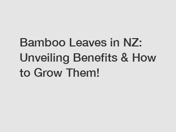 Bamboo Leaves in NZ: Unveiling Benefits & How to Grow Them!