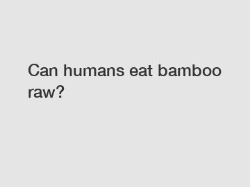Can humans eat bamboo raw?