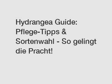 Hydrangea Guide: Pflege-Tipps & Sortenwahl - So gelingt die Pracht!