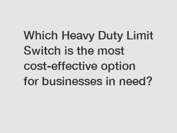 Which Heavy Duty Limit Switch is the most cost-effective option for businesses in need?