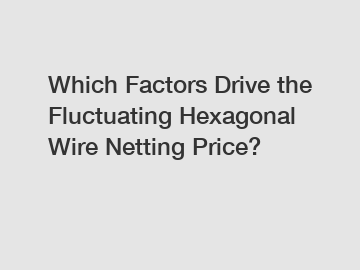 Which Factors Drive the Fluctuating Hexagonal Wire Netting Price?