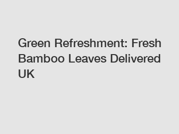 Green Refreshment: Fresh Bamboo Leaves Delivered UK