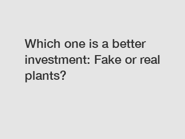 Which one is a better investment: Fake or real plants?