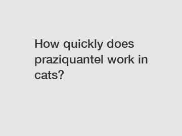 How quickly does praziquantel work in cats?