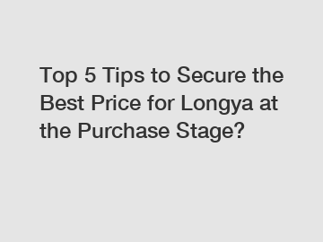 Top 5 Tips to Secure the Best Price for Longya at the Purchase Stage?
