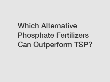 Which Alternative Phosphate Fertilizers Can Outperform TSP?